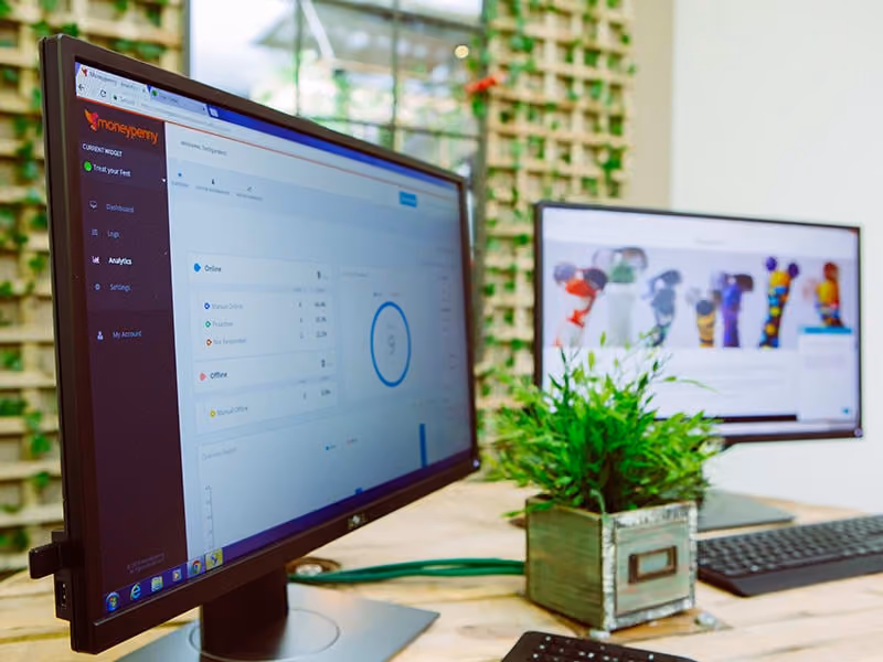 Dual monitors on desk showing analytics dashboard and colorful objects, with a small green plant in a metal pot.