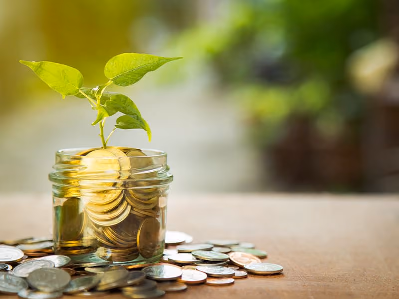 Glass jar filled with coins and a small green plant growing from the top on a wooden surface.