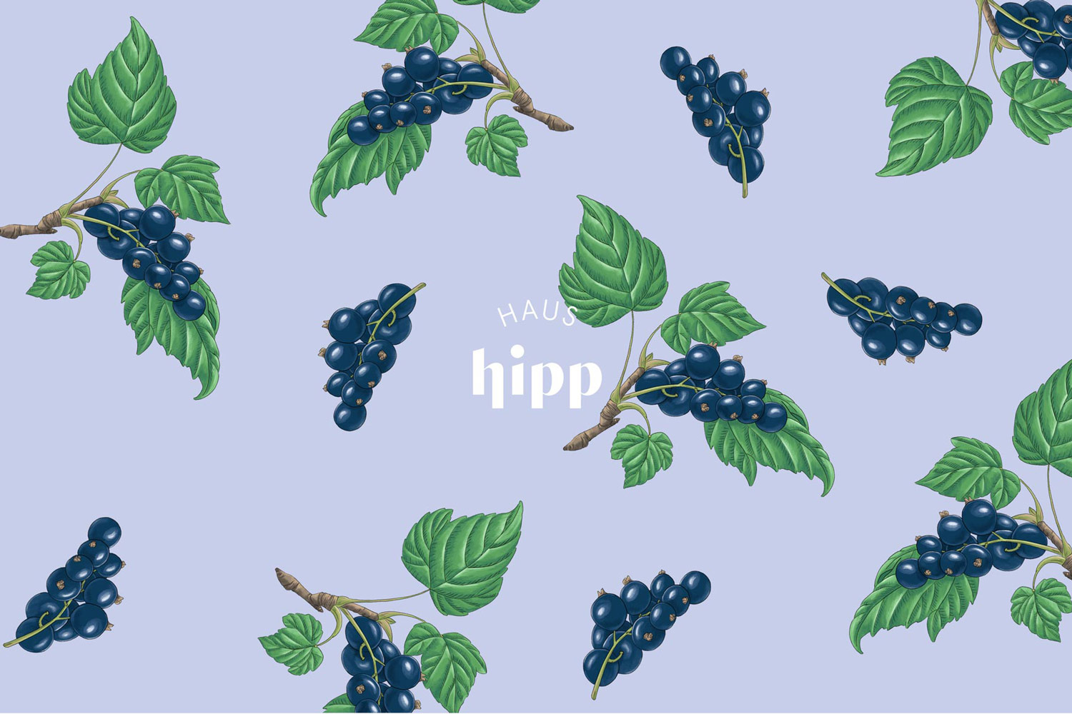 Flat packaging design with dark berries and green leaves