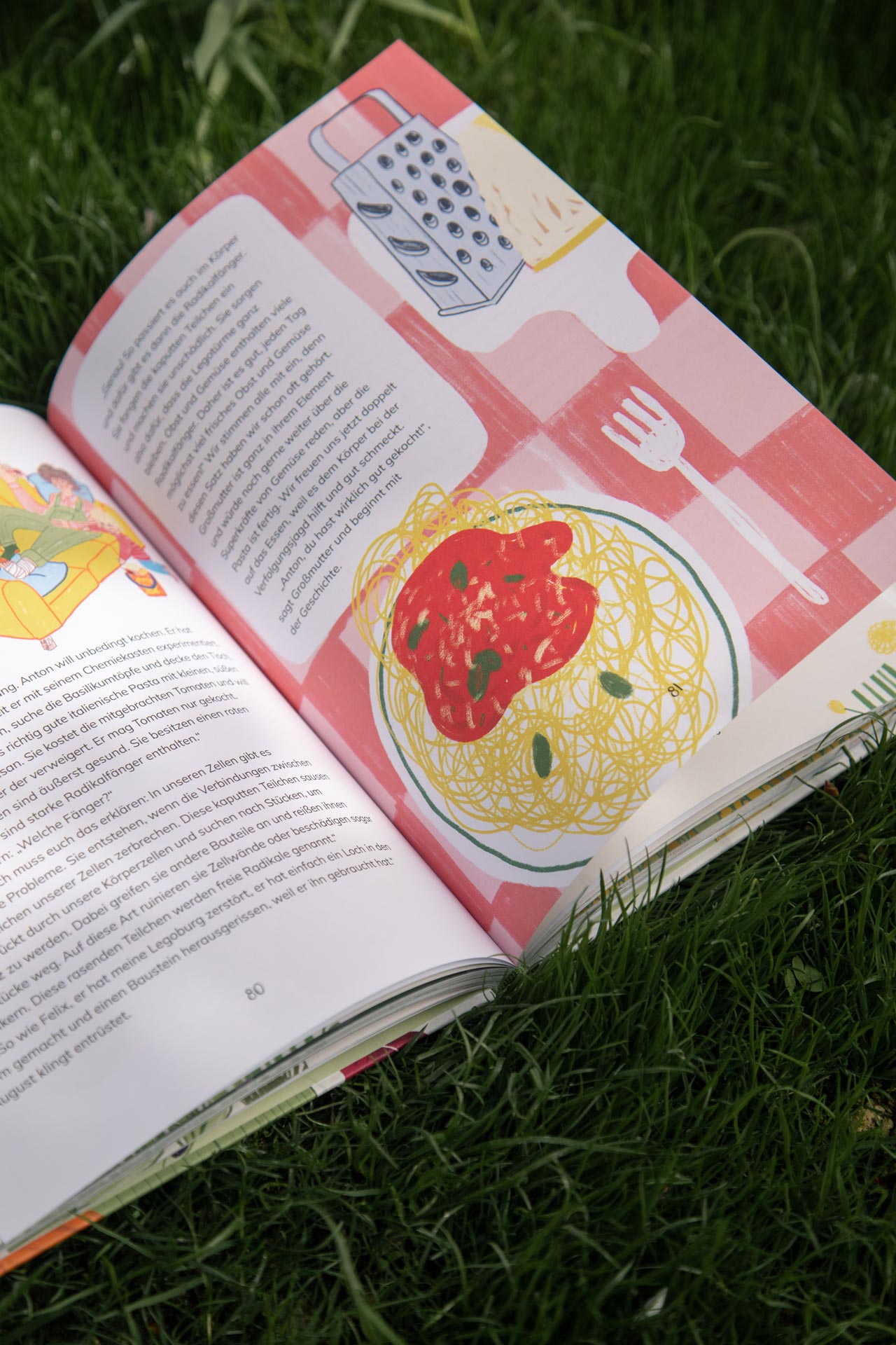 Illustrated recipe spread with a red checked pattern and a plated dish