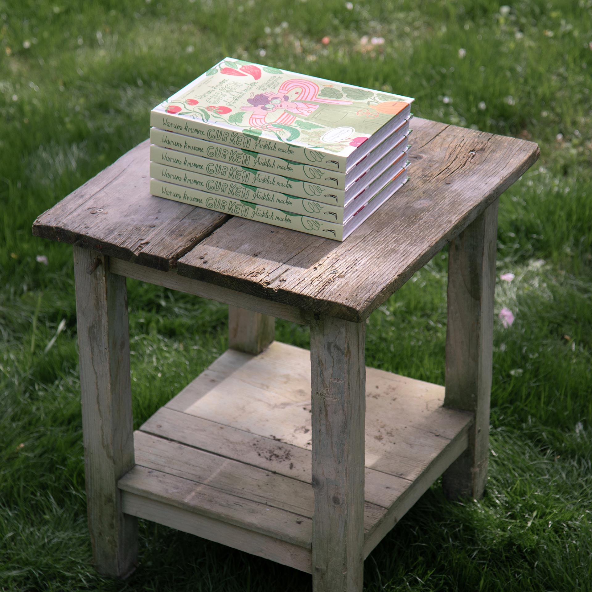 Stack of the illustrated vegetable book on a wooden garden table