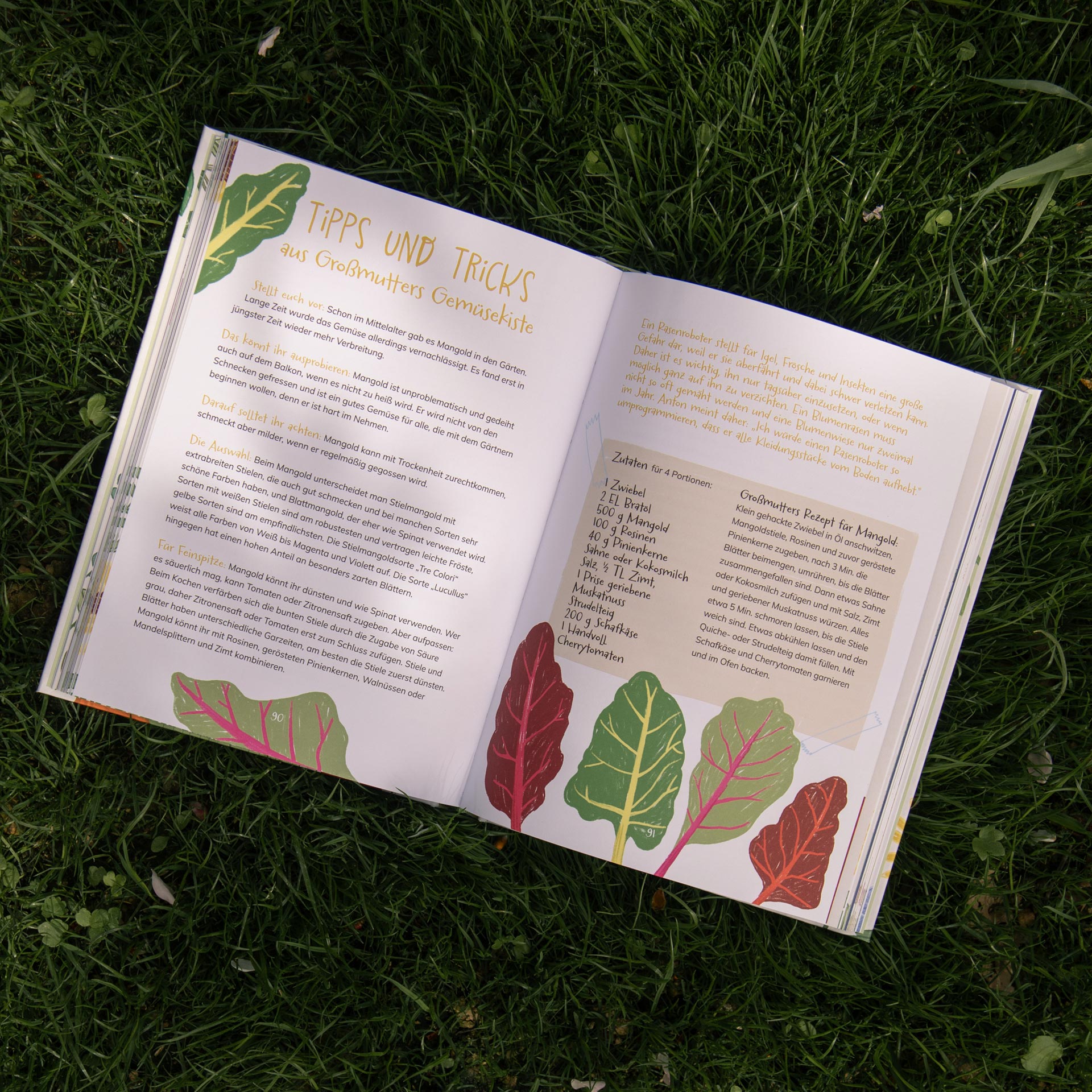 Book spread with text columns and colourful leaf illustrations