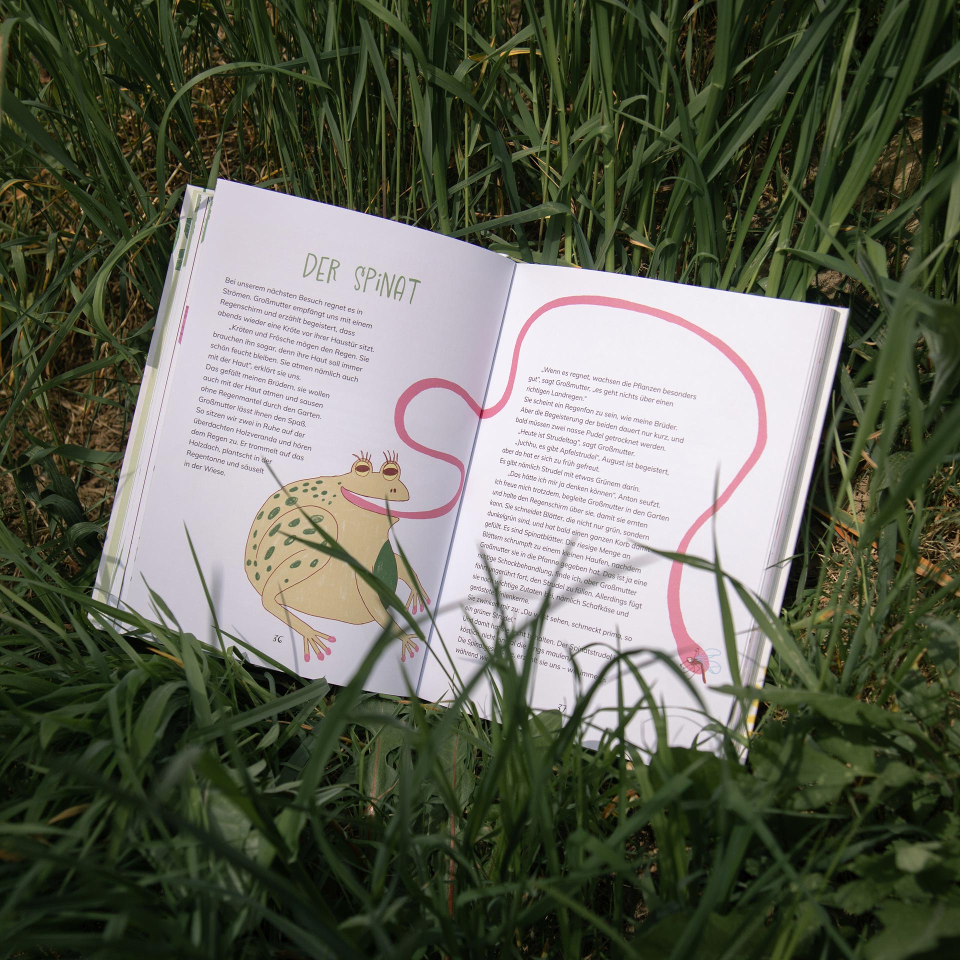 Open book with text, a vegetable drawing and a curved pink line on grass