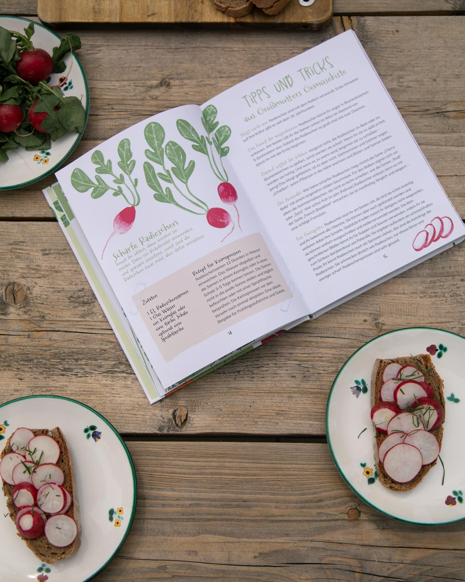 Book spread with radish illustrations beside open sandwiches