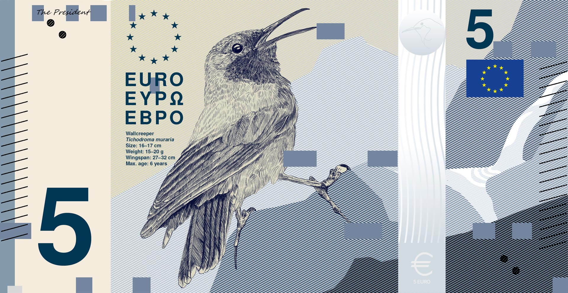 5-euro design with a bird illustration and an abstract mountain landscape