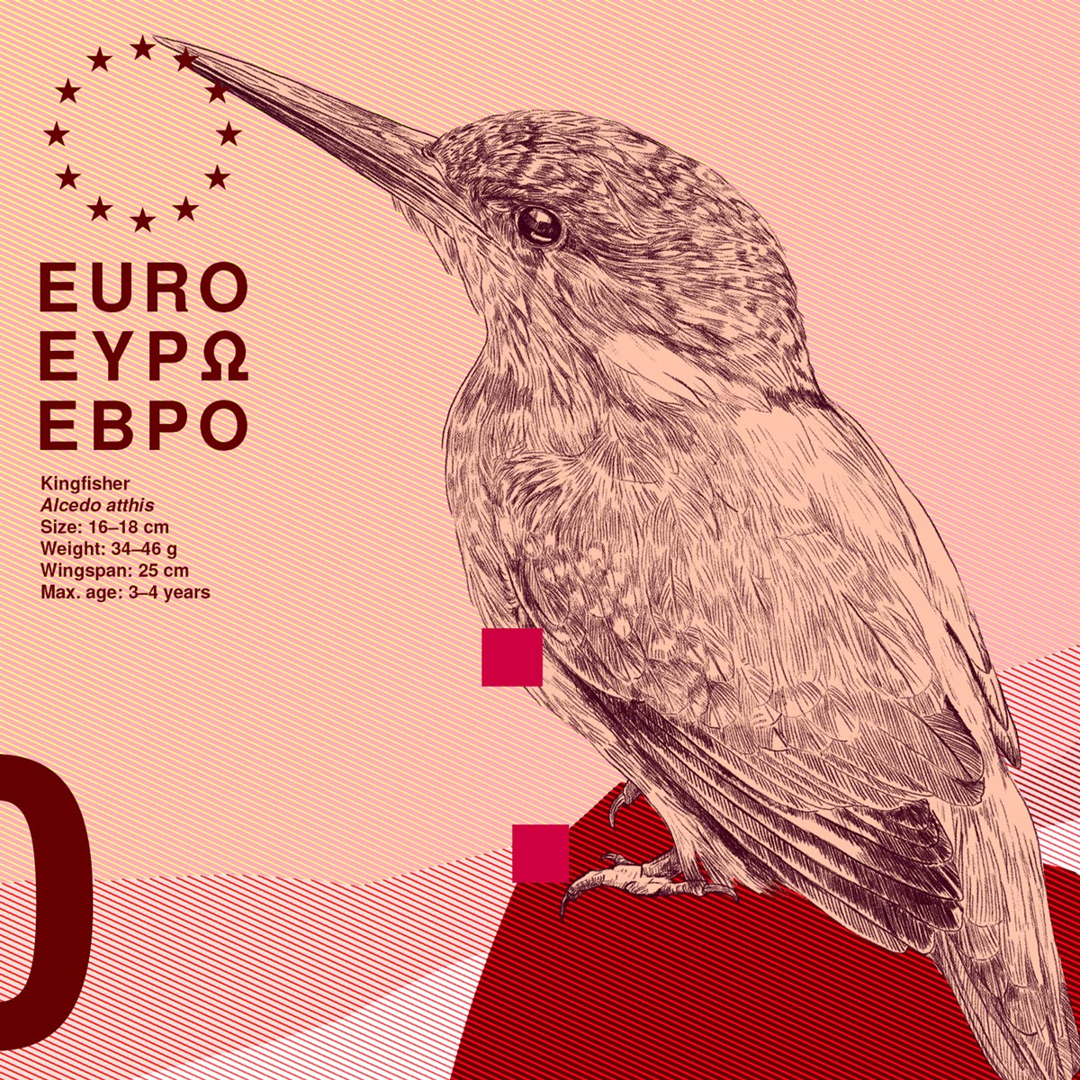 Detail of the kingfisher illustration and information elements on the 10-euro design