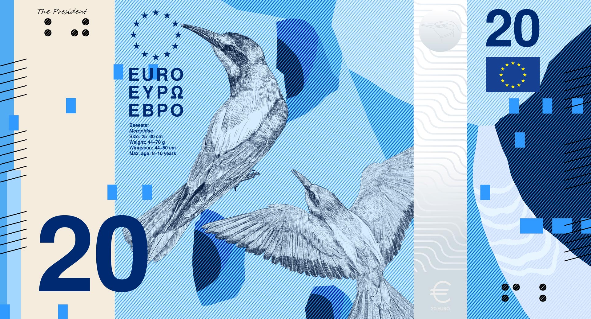 Blue 20-euro design featuring two birds in flight