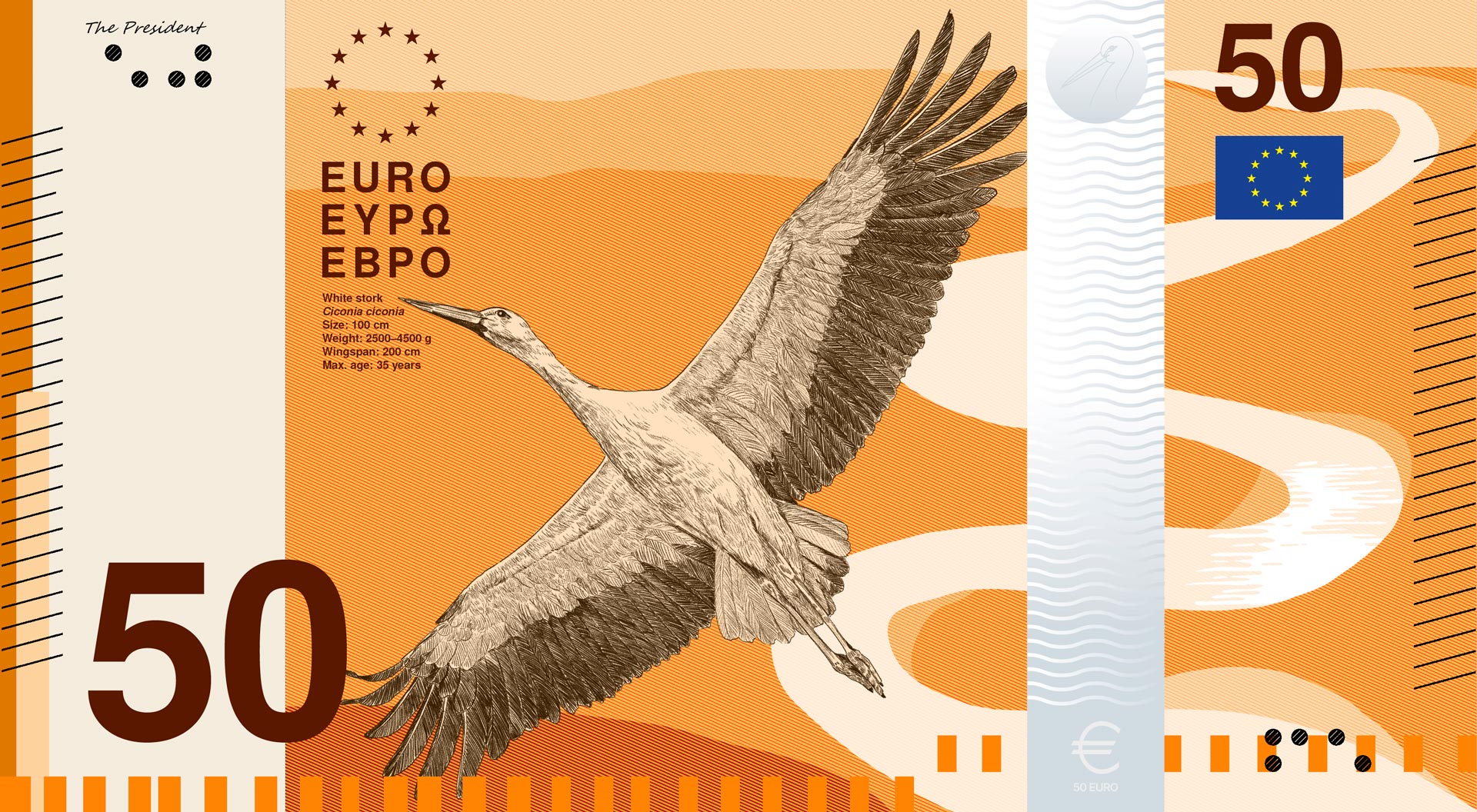 Orange 50-euro design featuring a white stork in flight
