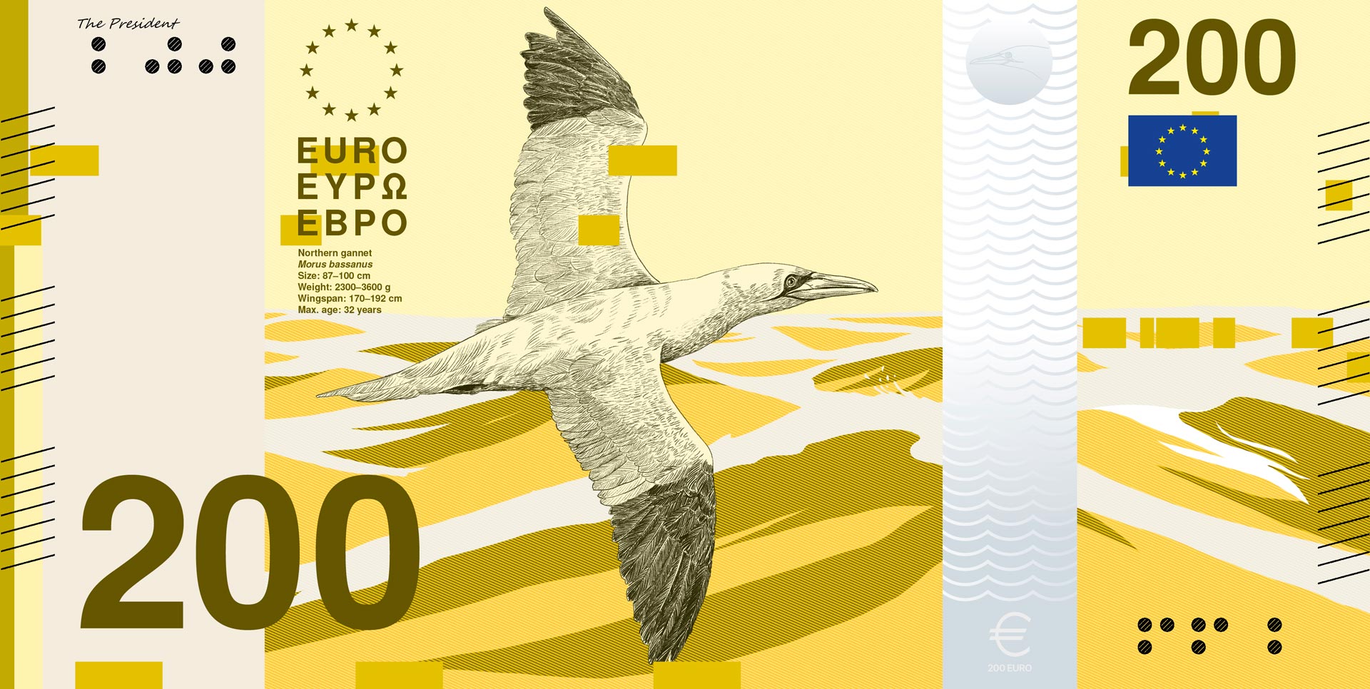 Yellow 200-euro design featuring a seabird in flight