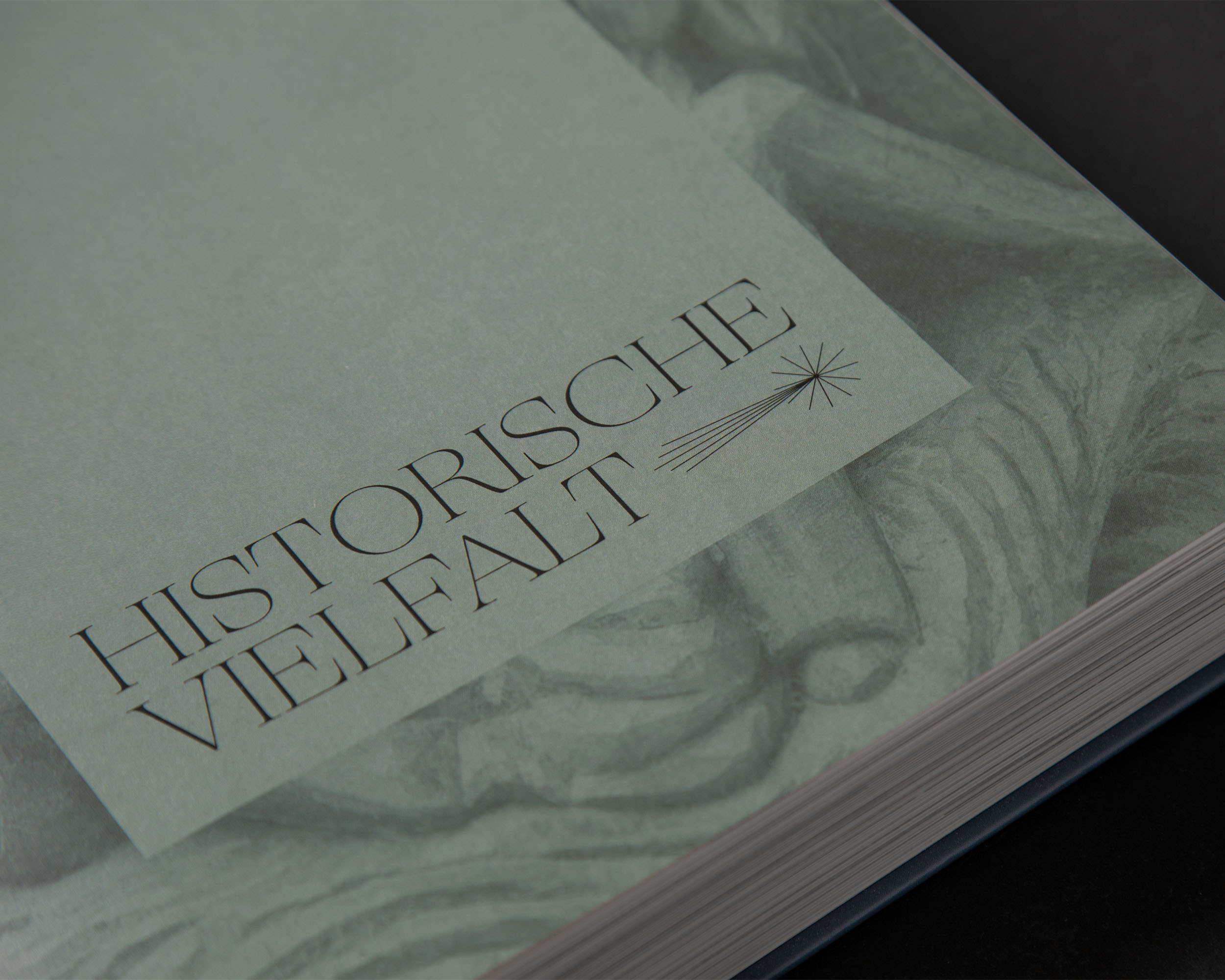 Detail of the Historische Vielfalt chapter heading on an illustrated book page