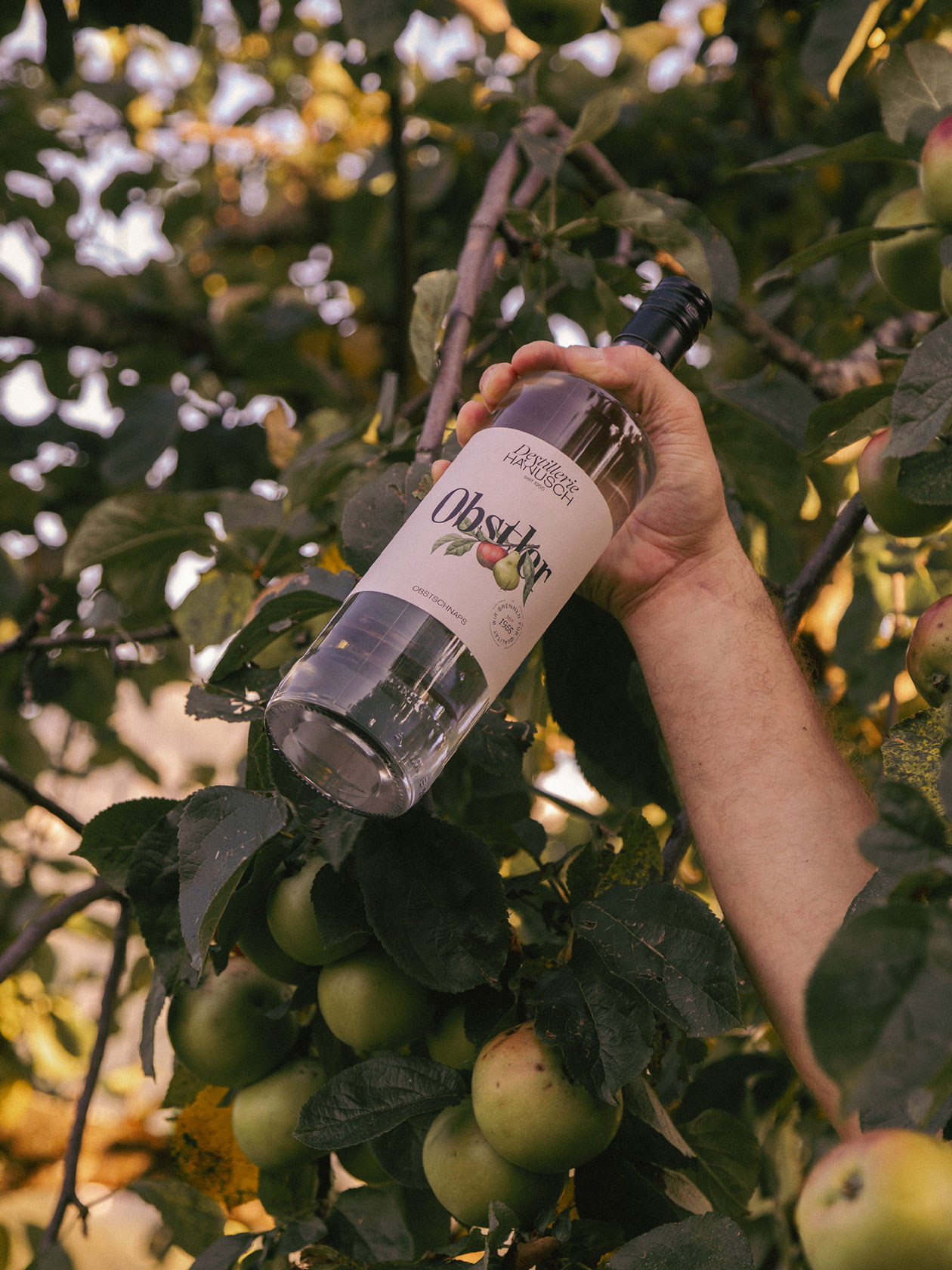 Hand holding a Hanusch spirits bottle among blossoms and leaves