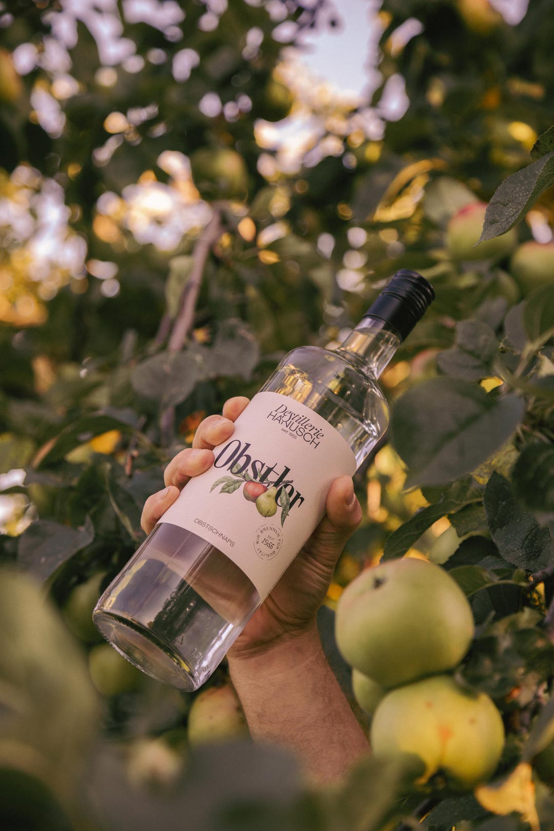 Spirits bottle with an illustrated label in front of a fruit tree