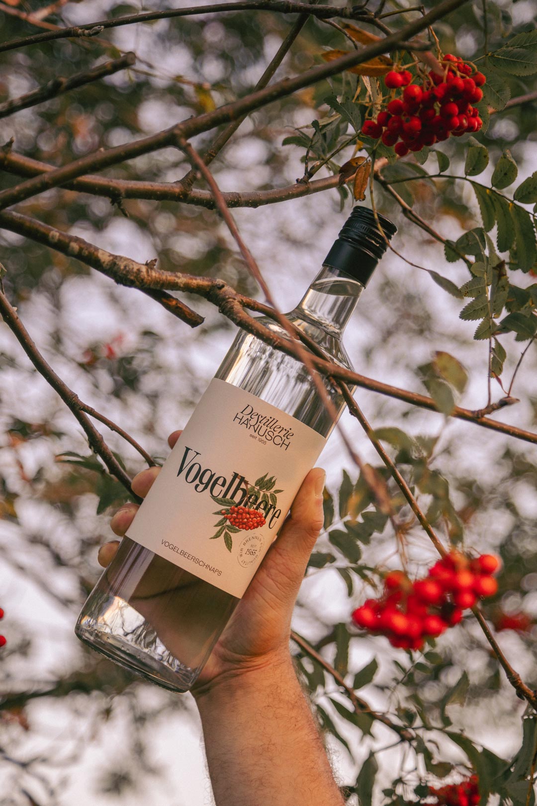 Spirits bottle with an illustrated label among red berries