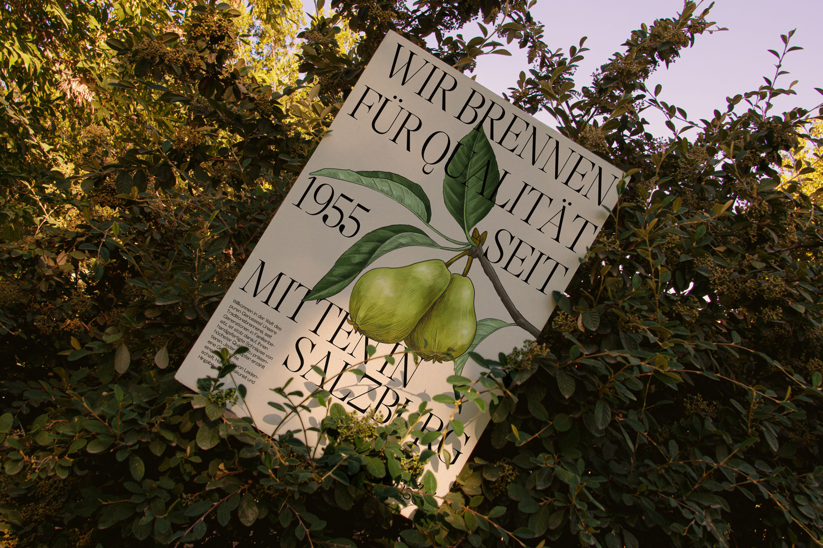 Destillerie Hanusch poster with a pear illustration among trees