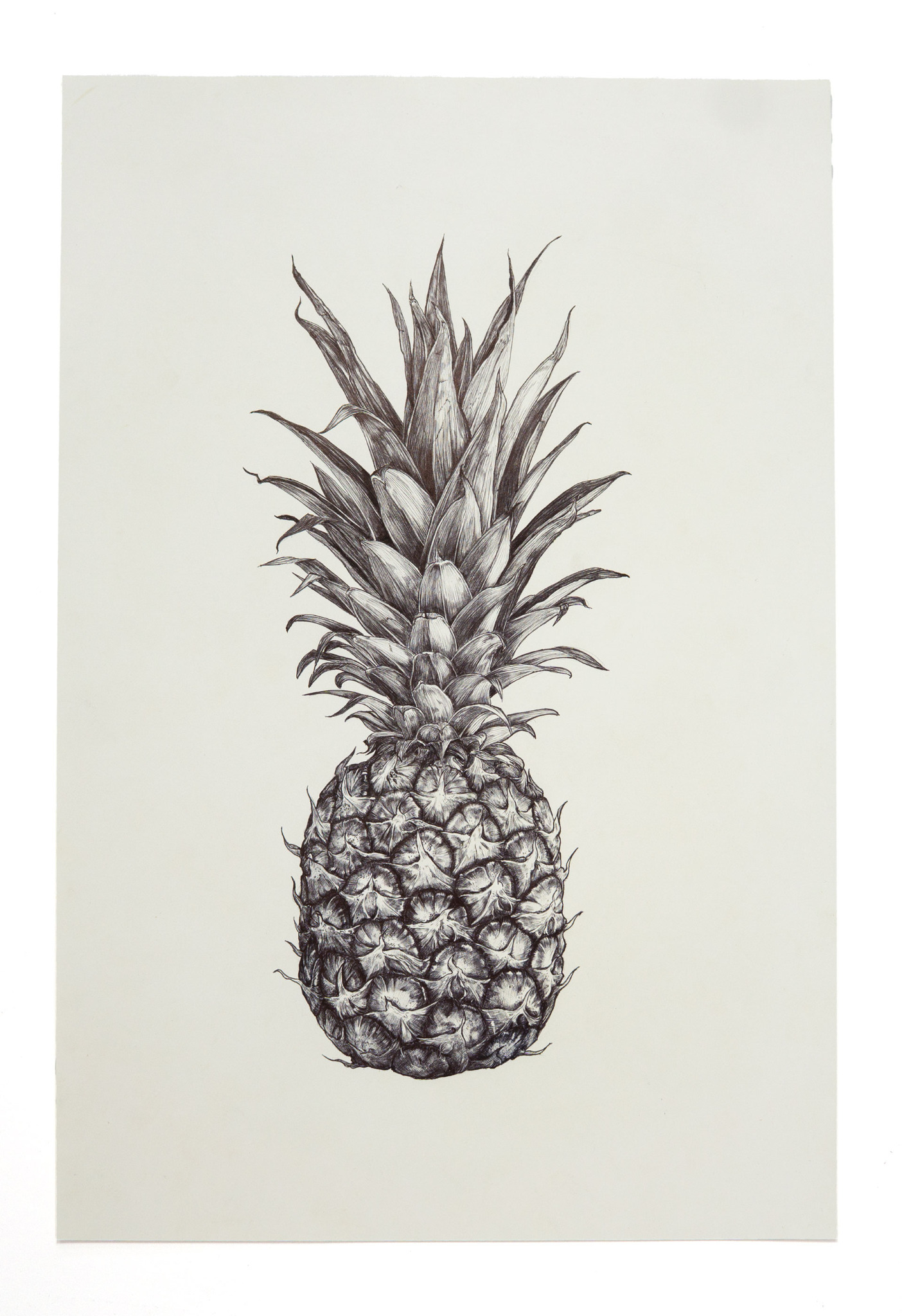 Ananas