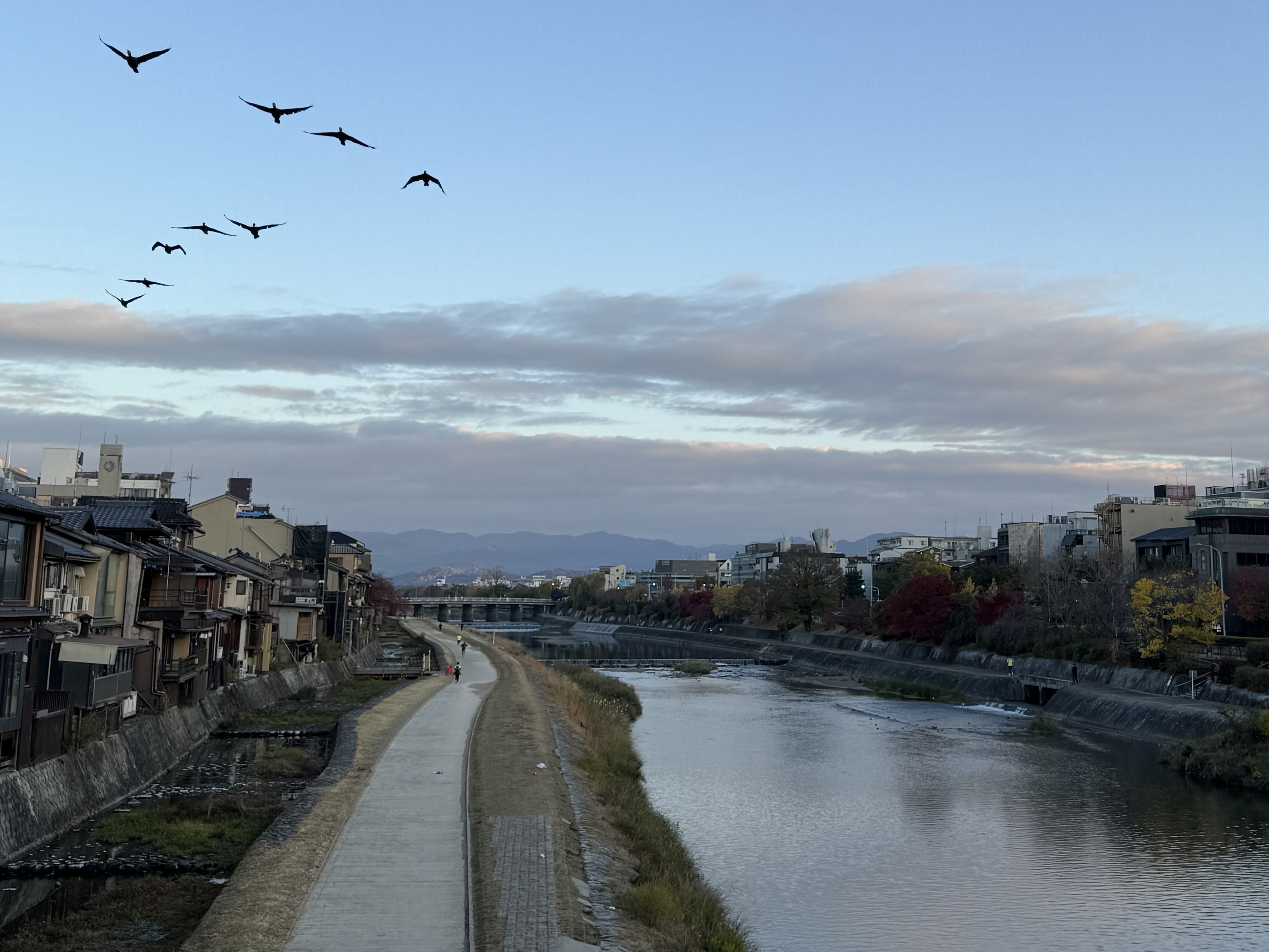 Tokyo, Kyoto and Fukuoka