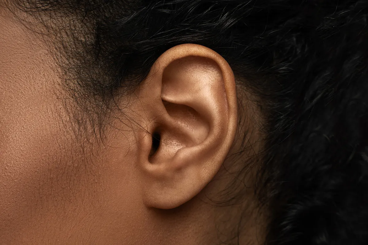 Close-up of a human ear