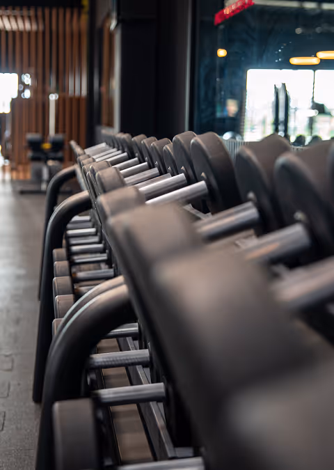Row of dumbbells arranged on a rack in a gym with wooden and glass background.