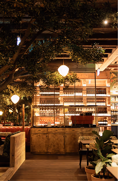 Timber back bar lined with bottles beneath olive branches and globe lanterns at Mama Yo