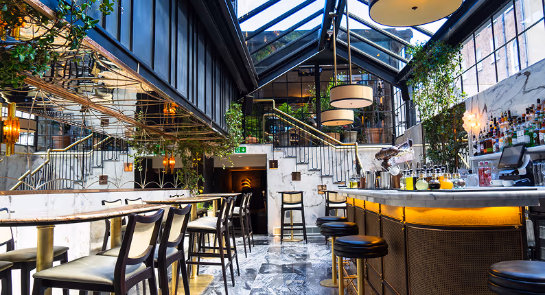 Marble bar and stools beneath a glazed atrium roof and hanging greenery at The Grayson