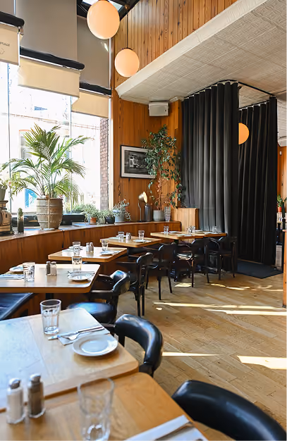 Timber-lined dining room with globe pendant lights and window plants at Elephant & Castle