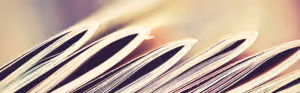 A stack of end-to-end research reports