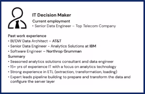 Professional IT decision maker profile