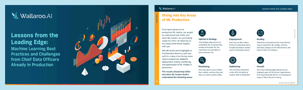 Wallaroo.ai CDO survey