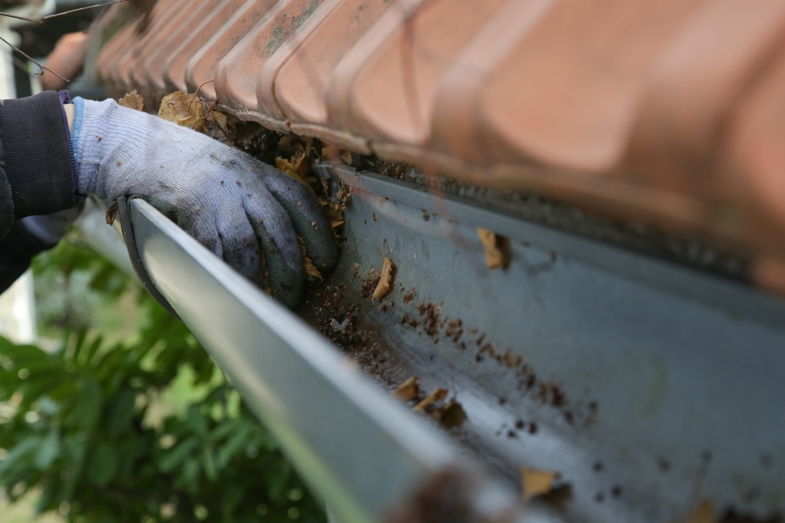 Cleaning gutter autumn leaves before winter roof