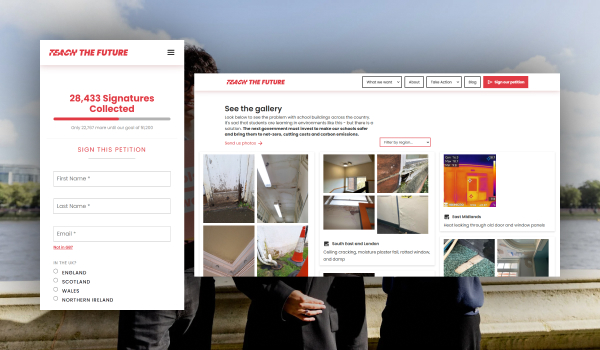 Action Network integration for an online campaign