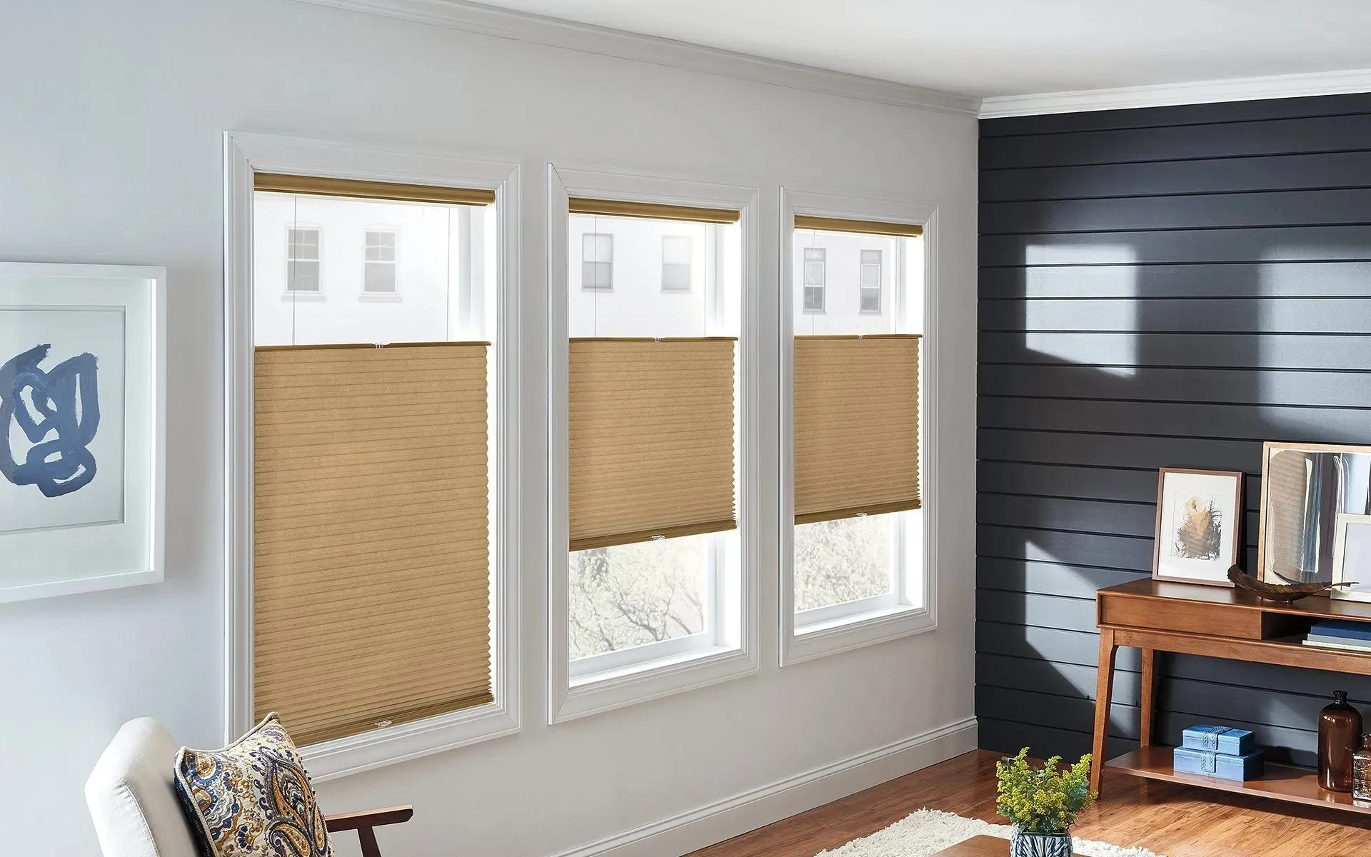 Top-down bottom-up cellular shades on three living room windows