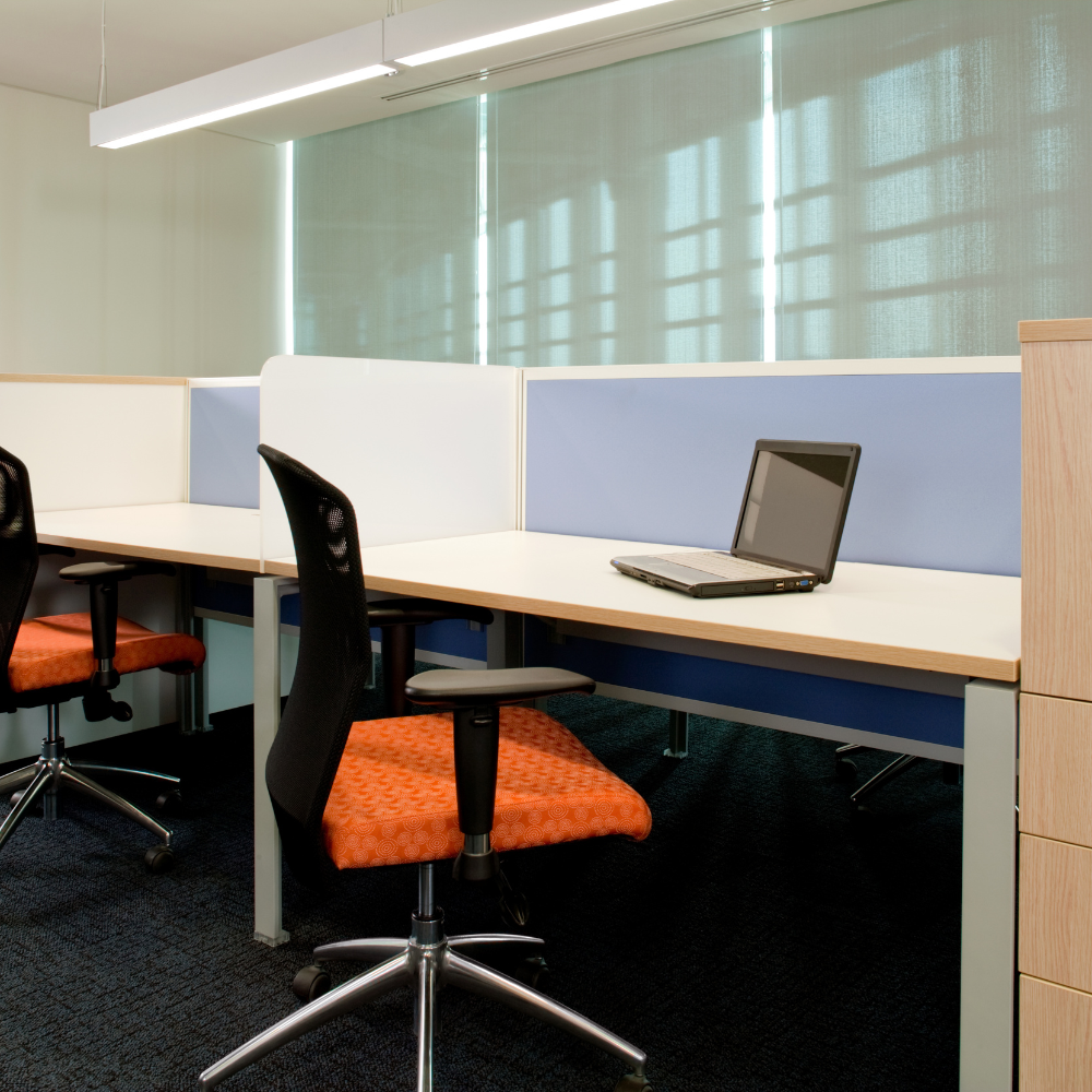 Light-filtering roller shades lowered over windows in an office with workstations