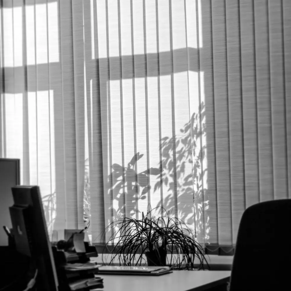 Vertical blinds casting plant shadows in an office, black-and-white photo