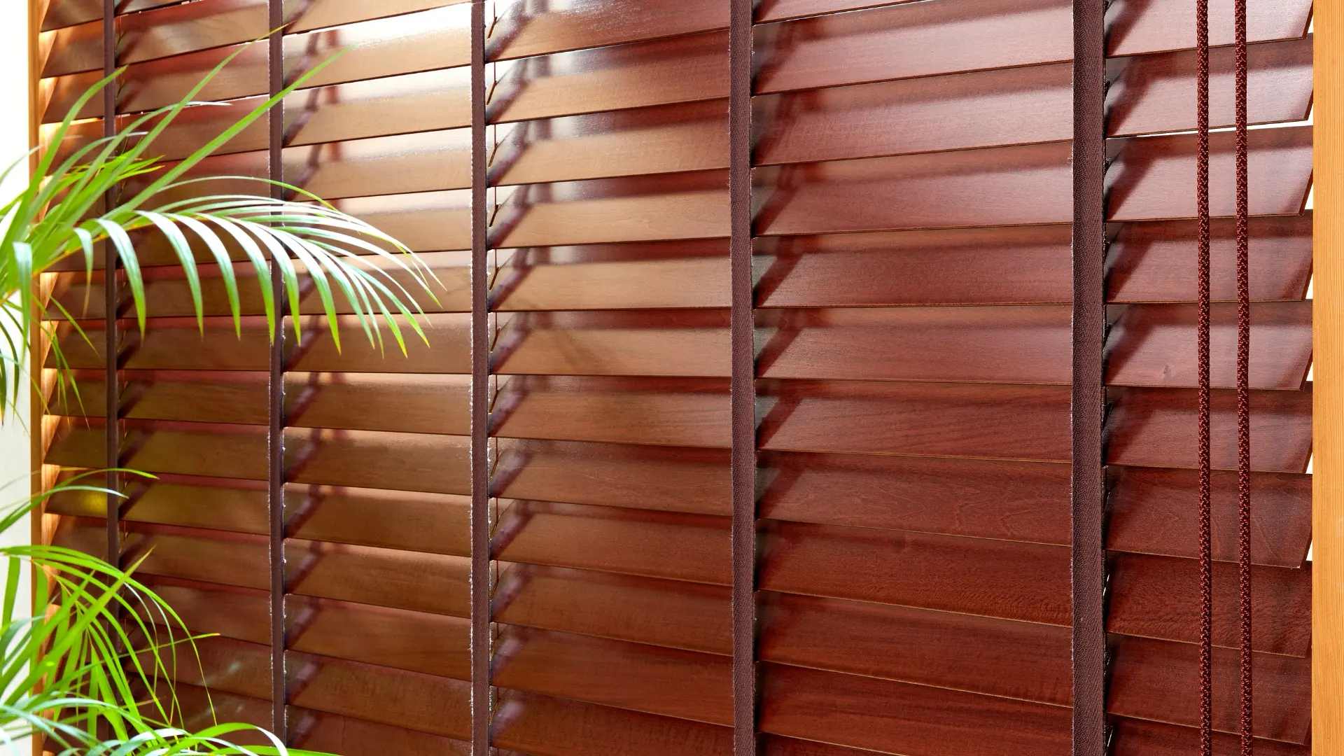 Close-up of rich brown wood blinds with ladder tapes beside a palm plant