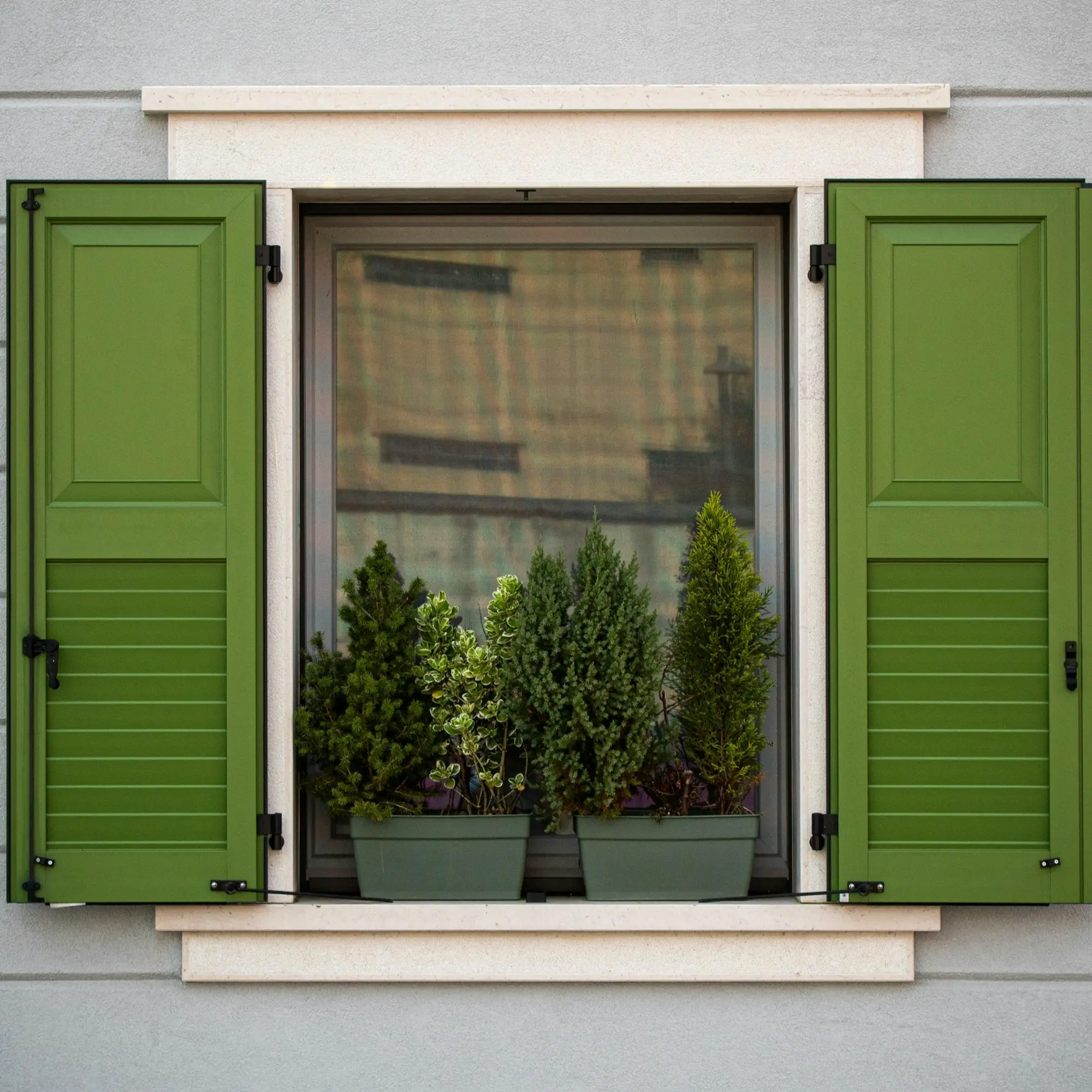 Green exterior shutters framing a window with potted evergreens