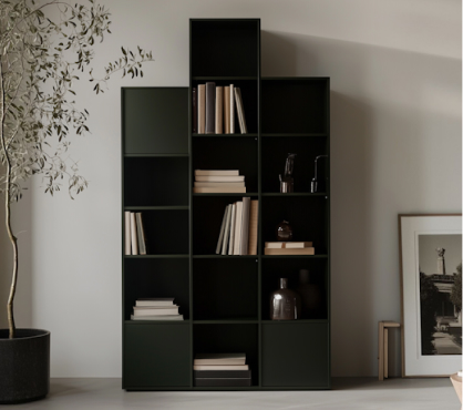 Modern Minimalist Bookshelf