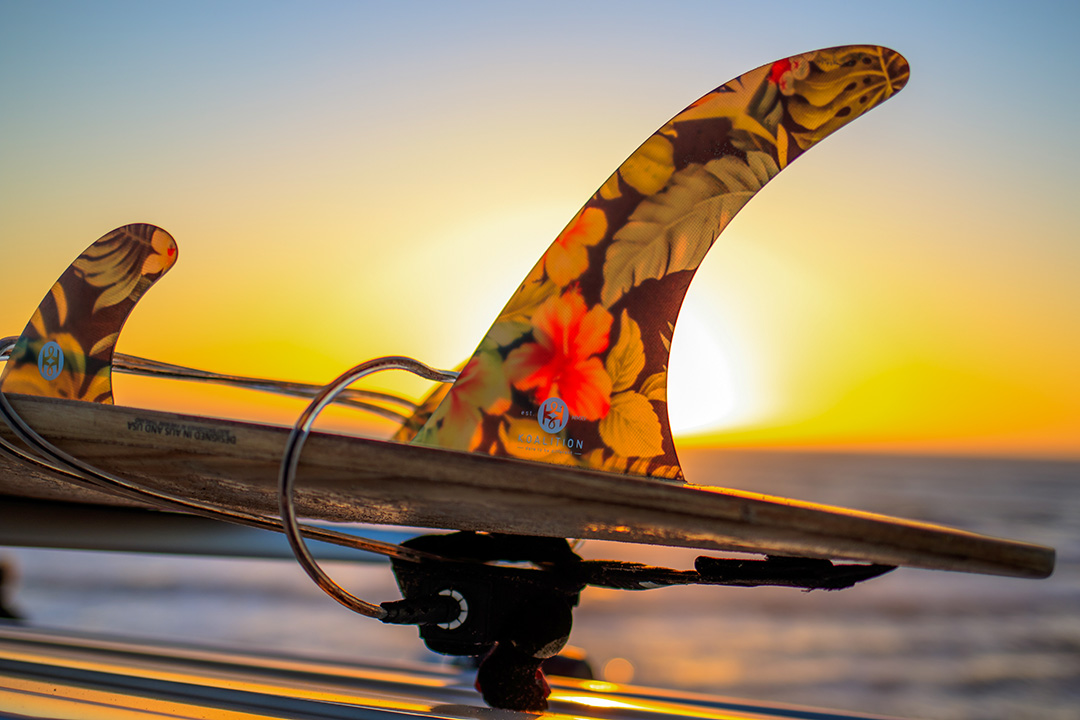 Surf Trip Planning