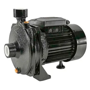 Bomba Centrífuga 75 L/Min - 550 W
