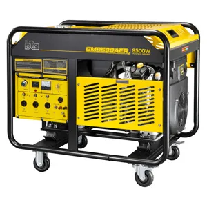 Grupo Generador 9.5 Kva - Arranque Eléctrico - Monofásico