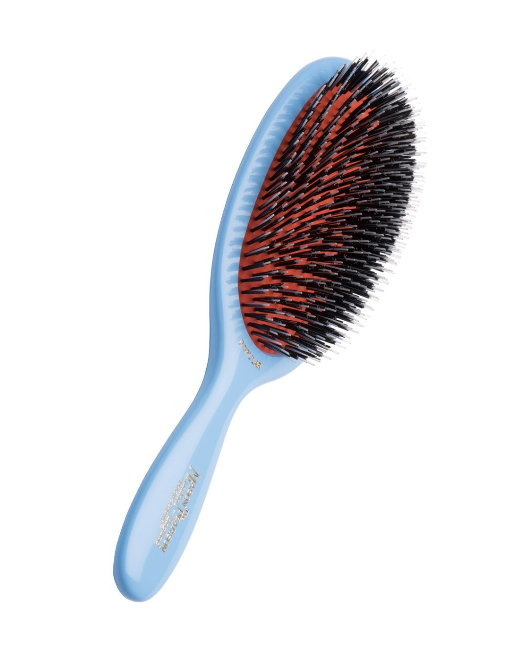 Handy Bristle & Nylon Hairbrush