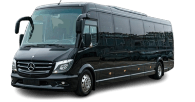 Coach 50 Seater