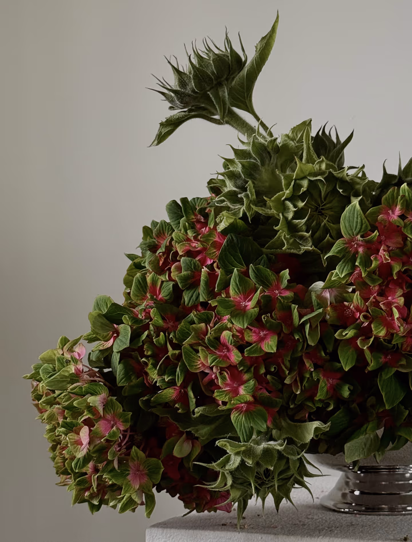 Dark red anthurium flowers with yellow spadices arranged against a plain wall background.