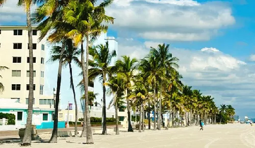 Palm-lined beachfront promenade in Hollywood, Florida