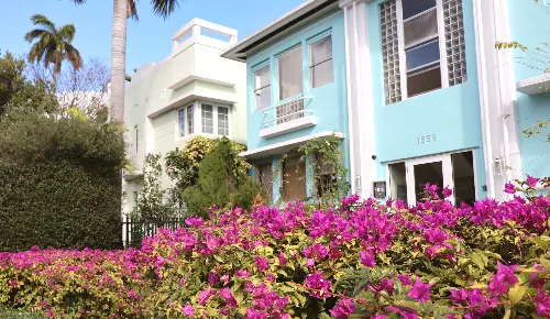Colorful homes behind flowering bougainvillea