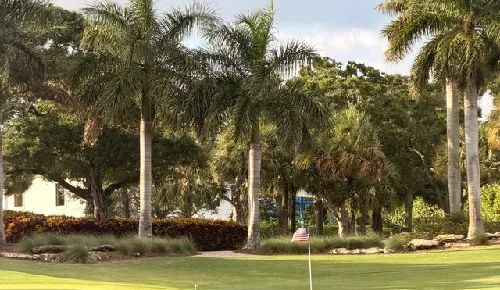 Palm-lined golf course in Boca Raton