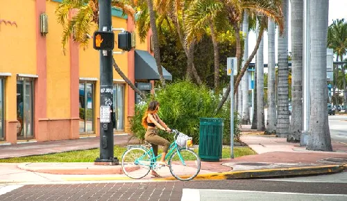 Cyclist crossing a palm-lined street in Hialeah