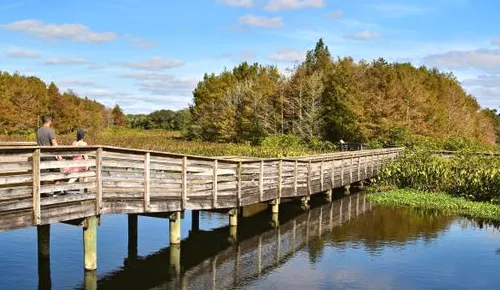 Wooden boardwalk crossing wetlands in Boynton Beach