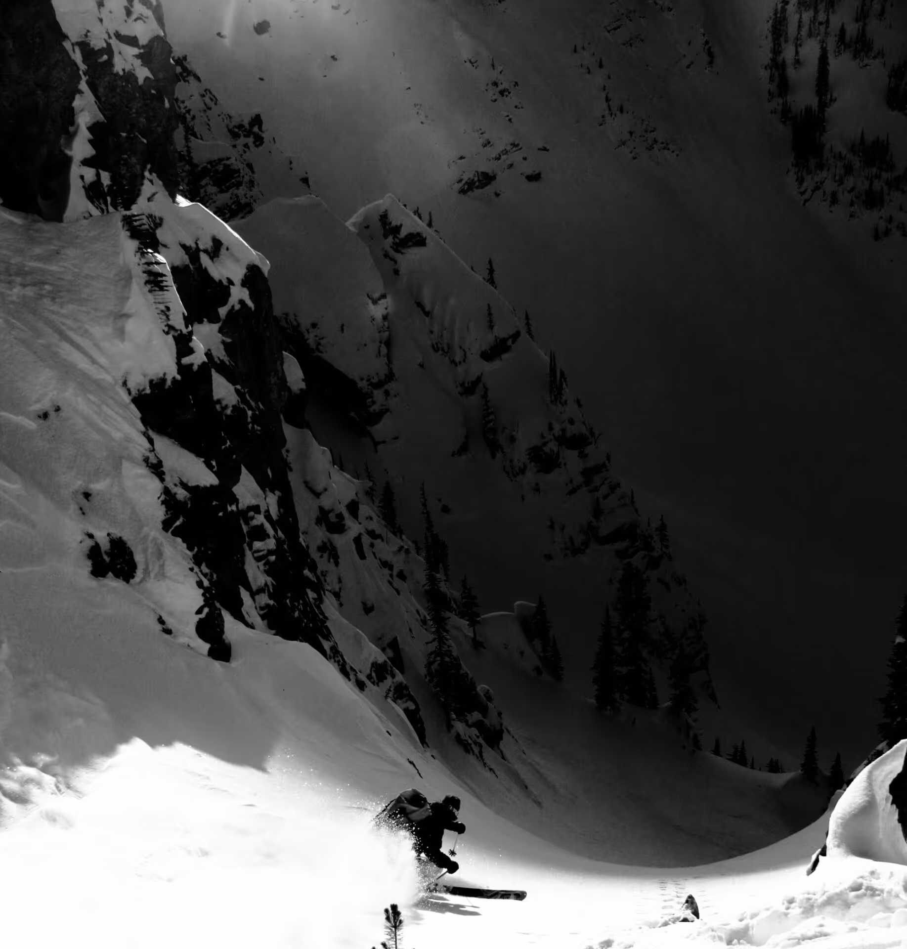 Skiing backcountry powder revelstoke
