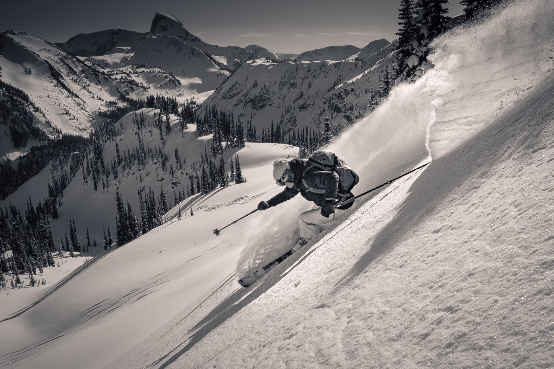 revelstoke ski touring backcountry skiing