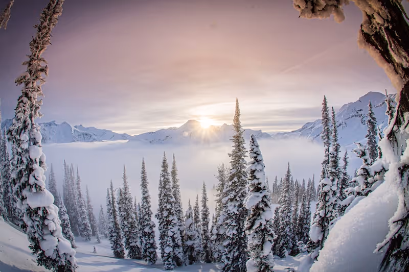 ski guide, ski touring
